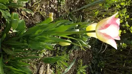 DSCF1538.webp