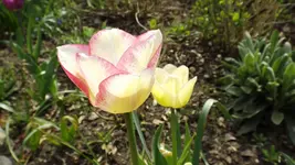 DSCF1539.webp