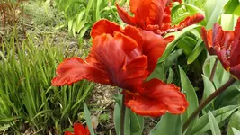 DSCF1542.webp
