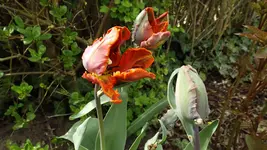 DSCF1543.webp