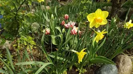 DSCF1559.webp