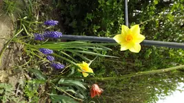 DSCF1544.webp