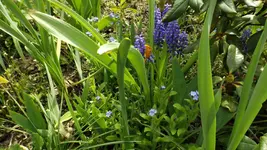 DSCF1546.webp