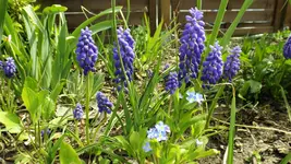 DSCF1547.webp