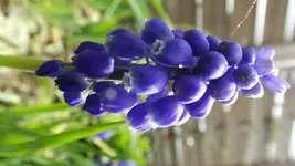 DSCF1548.webp