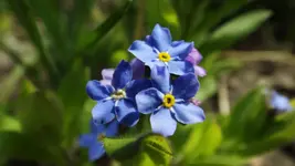 DSCF1549.webp