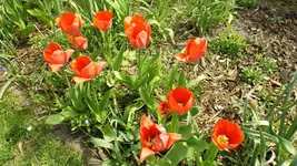 DSCF1570.webp