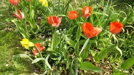 DSCF1571.webp