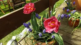 DSCF1574.webp