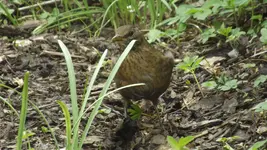 DSCF1580.webp