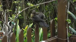 DSCF1586.webp