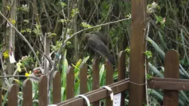 DSCF1587.webp