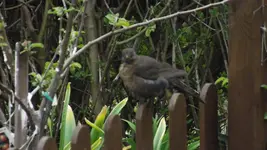 DSCF1588.webp