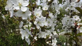 DSCF1572.webp
