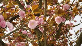DSCF1579.webp