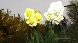 DSCF1521.webp