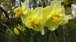 DSCF1522.webp