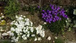 DSCF1524.webp