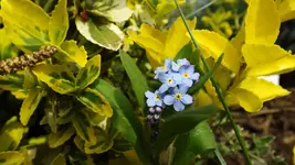 DSCF1526.webp