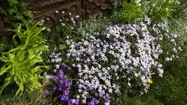 DSCF1528.webp