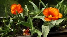 DSCF1577.webp