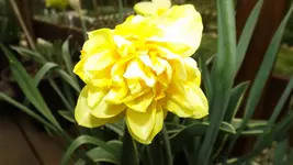 DSCF1583.webp