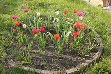 IMG_0007.webp