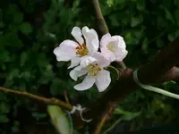 k-P1080829.webp