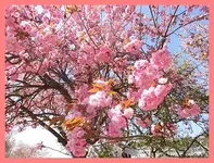 092.webp