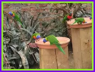 078.webp