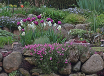 Teilansicht Hangbeet_pink_lila_creme_bleu_weiss640.webp