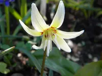 DSCN7604.webp