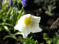 DSCN7656.webp