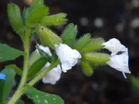 DSCN7660.webp