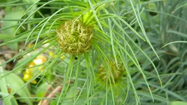 DSCN4498.webp