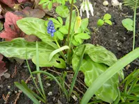 DSCN7716.webp