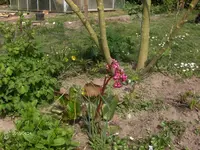 HPIM1406.webp