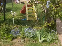 HPIM1408.webp