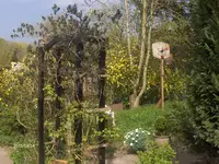 HPIM1410.webp