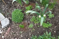 SAM_0588.webp