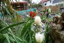 SAM_0591.webp