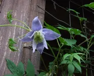 DSCF3748.webp