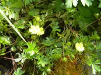 DSCN7713.webp