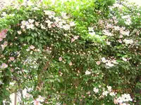 IMG_4353.webp