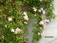IMG_4354.webp