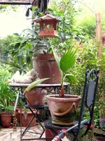 IMG_4340.webp