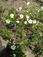 IMG_4327-002.webp
