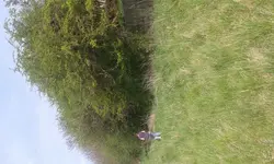 20150425_143407.webp