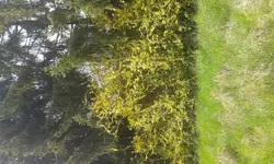 20150425_143646.webp