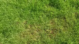 08_DSC_1095.webp